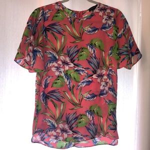 Atmosphere tropical modest top